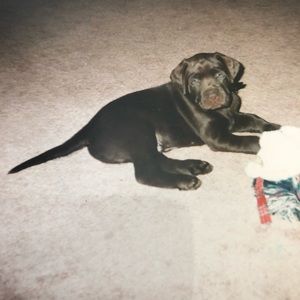 Meet your Posher, Keith